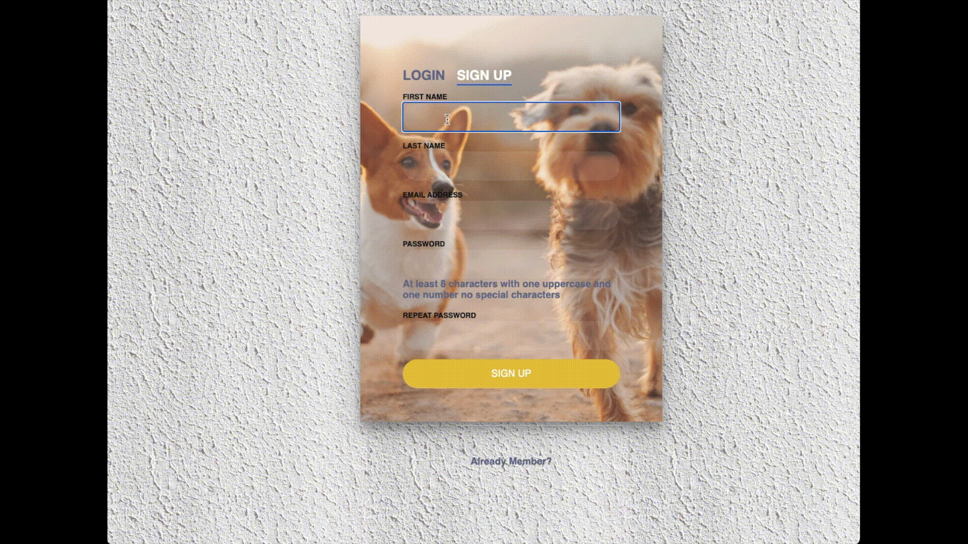 pet app demo
